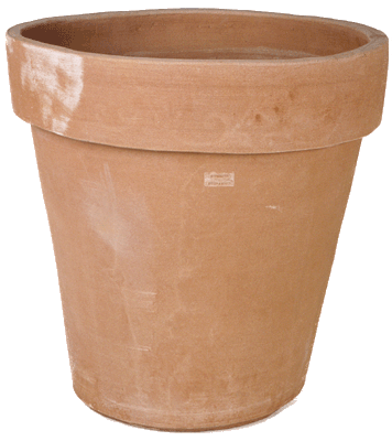 vase_flower_pot-5289684